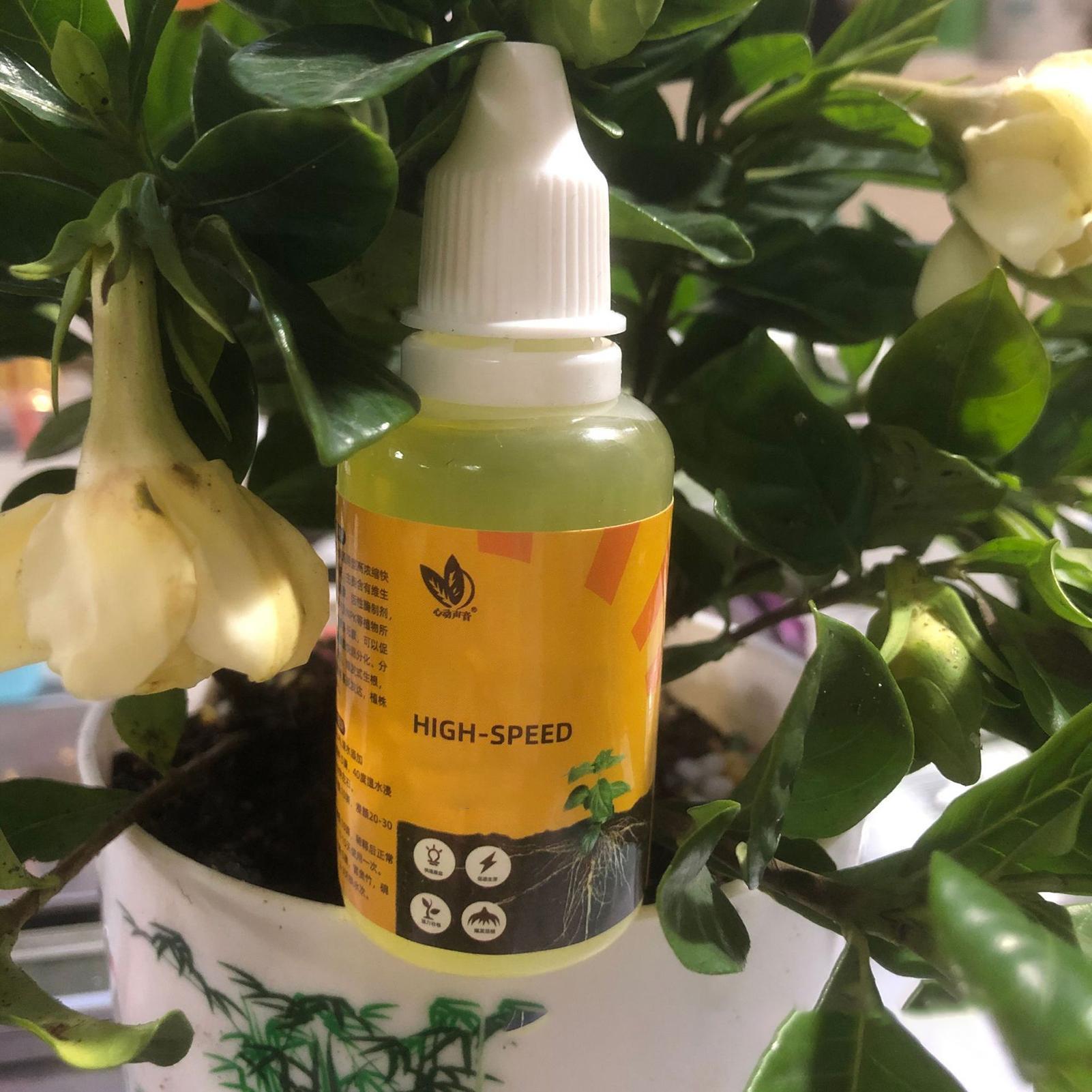 50ml Plant Rooting Stimulator  - Rooting Hormone Powder recension och pris