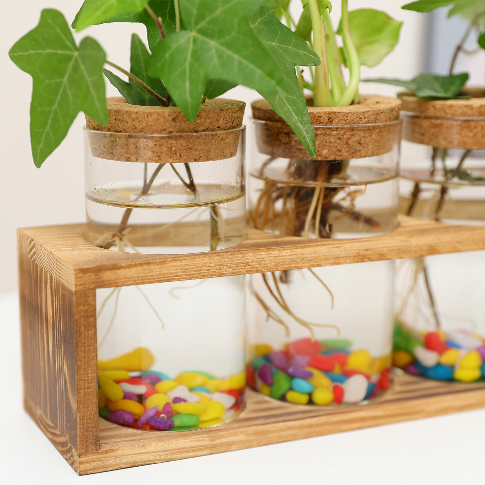 Minimalist Glass Vase with Woo - Propagation Station Vase recension och pris