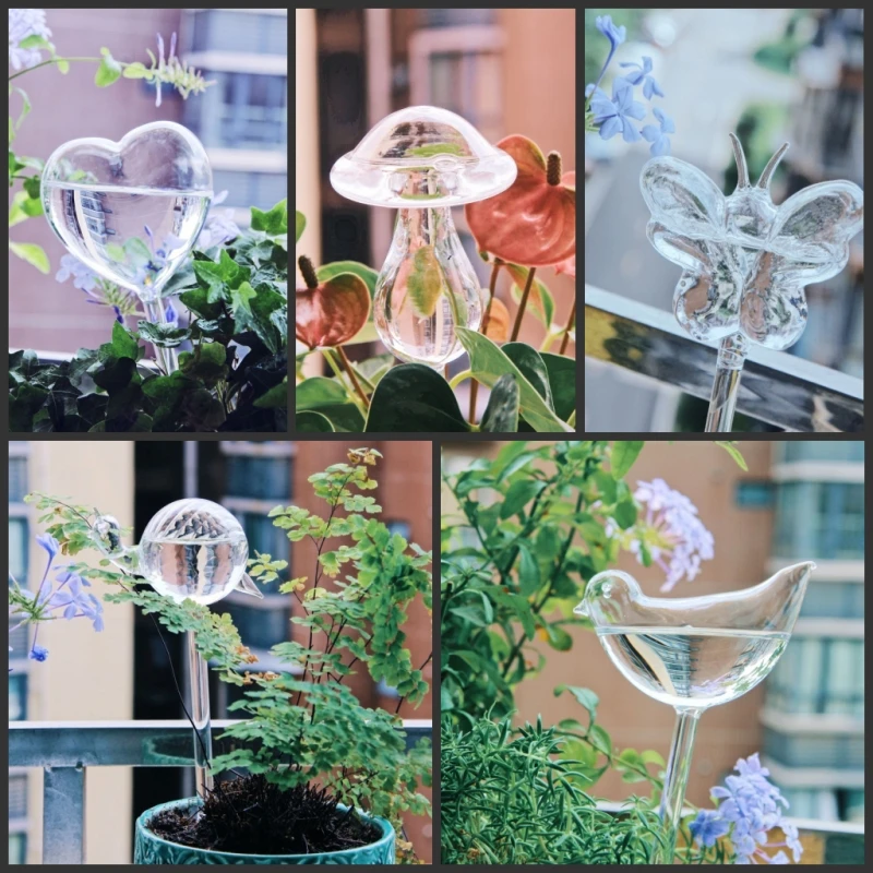 Creative Glass Plant Flowers W - Self Watering Insert recension och pris
