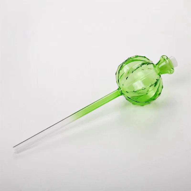Creative Glass Plant Flowers W - Self Watering Insert recension och pris