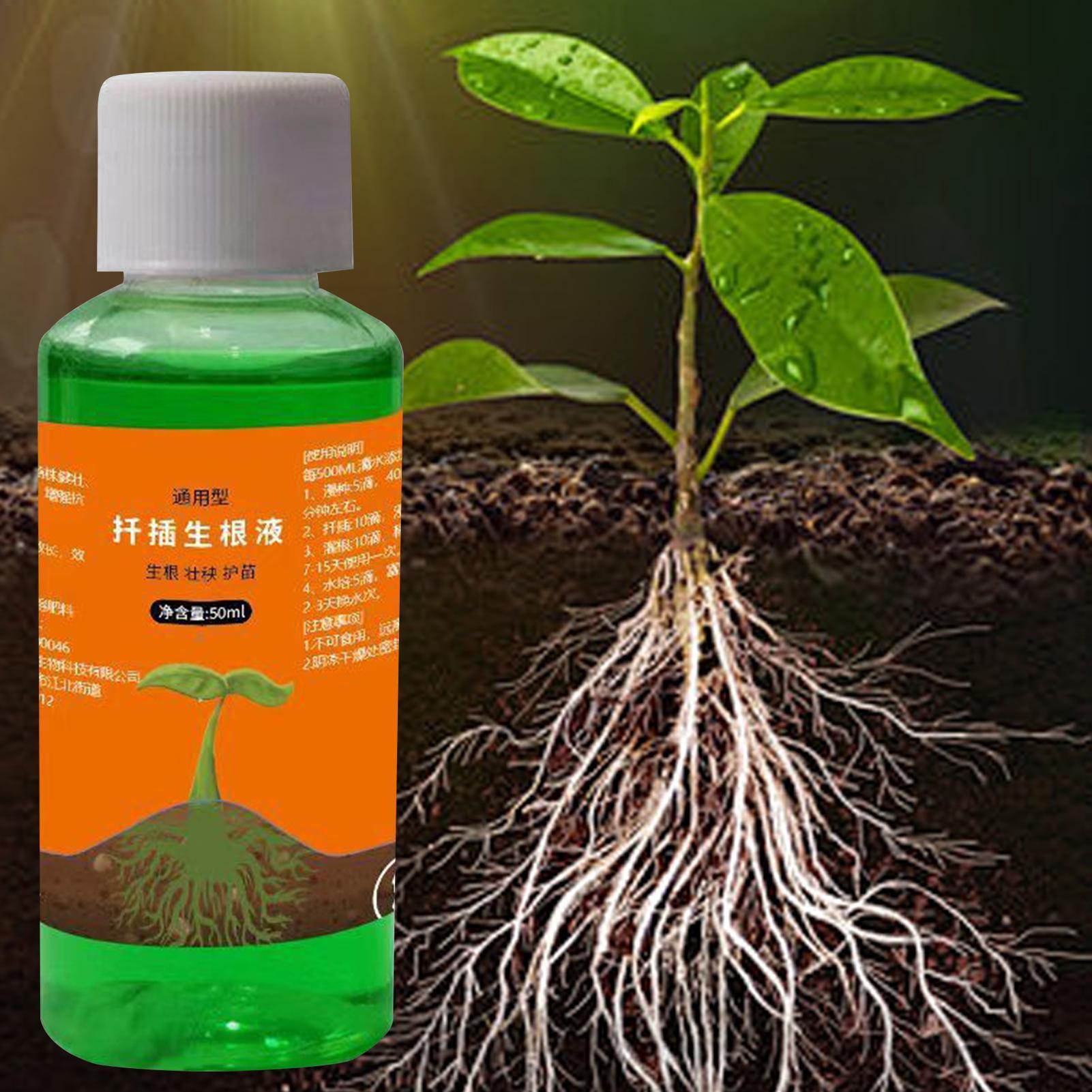 High-Efficiency Root Stimulato - Root Stimulator Liquid recension och pris