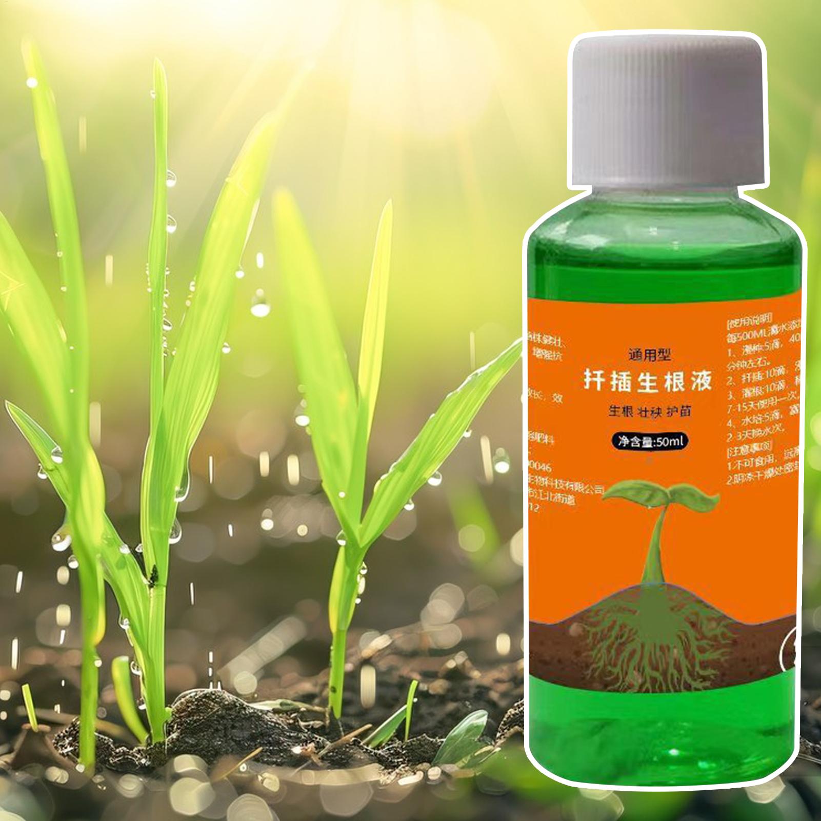 High-Efficiency Root Stimulato - Root Stimulator Liquid recension och pris