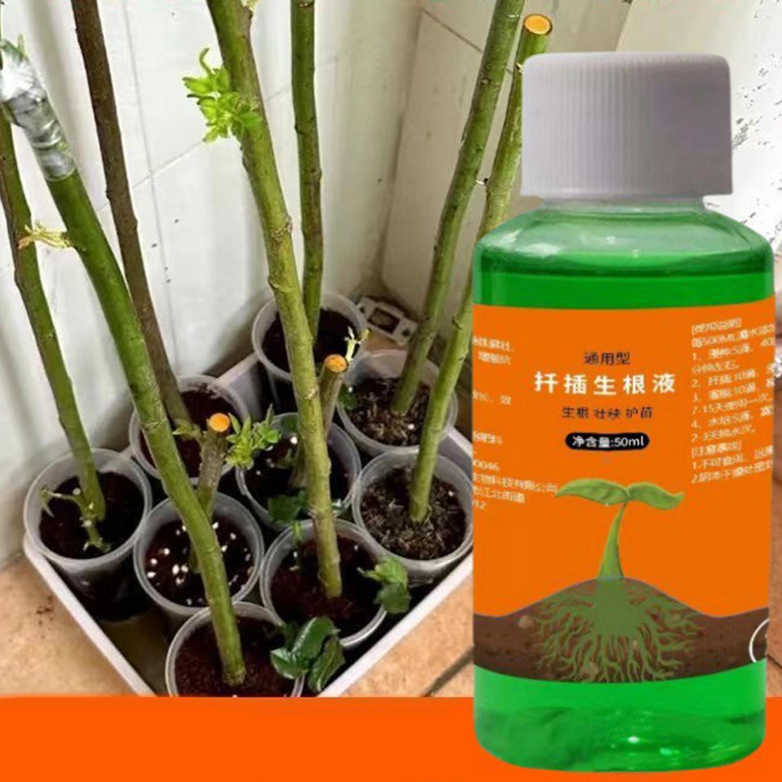 High-Efficiency Root Stimulato - Root Stimulator Liquid recension och pris