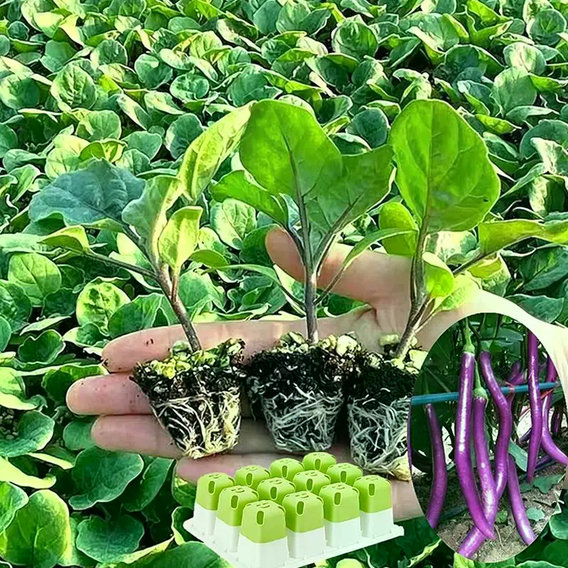 Seed Starter Tray With Humidit - Humidity Dome Kit recension och pris