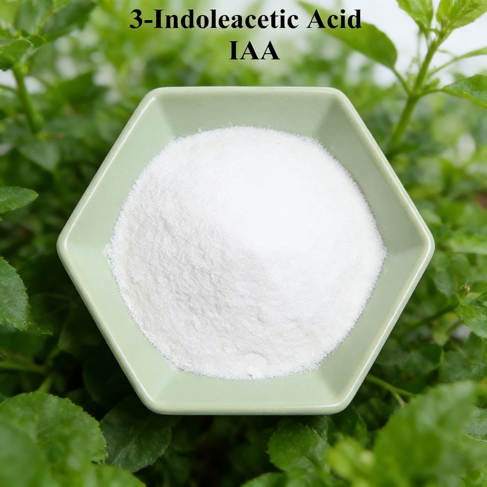 3-indoleacetic Acid IAA Auxina - Rooting Hormone Powder recension och pris
