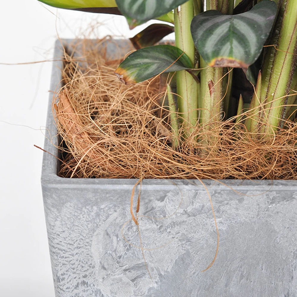 Natural Coconut Husk Fiber Flo - Sphagnum Moss Dry recension och pris