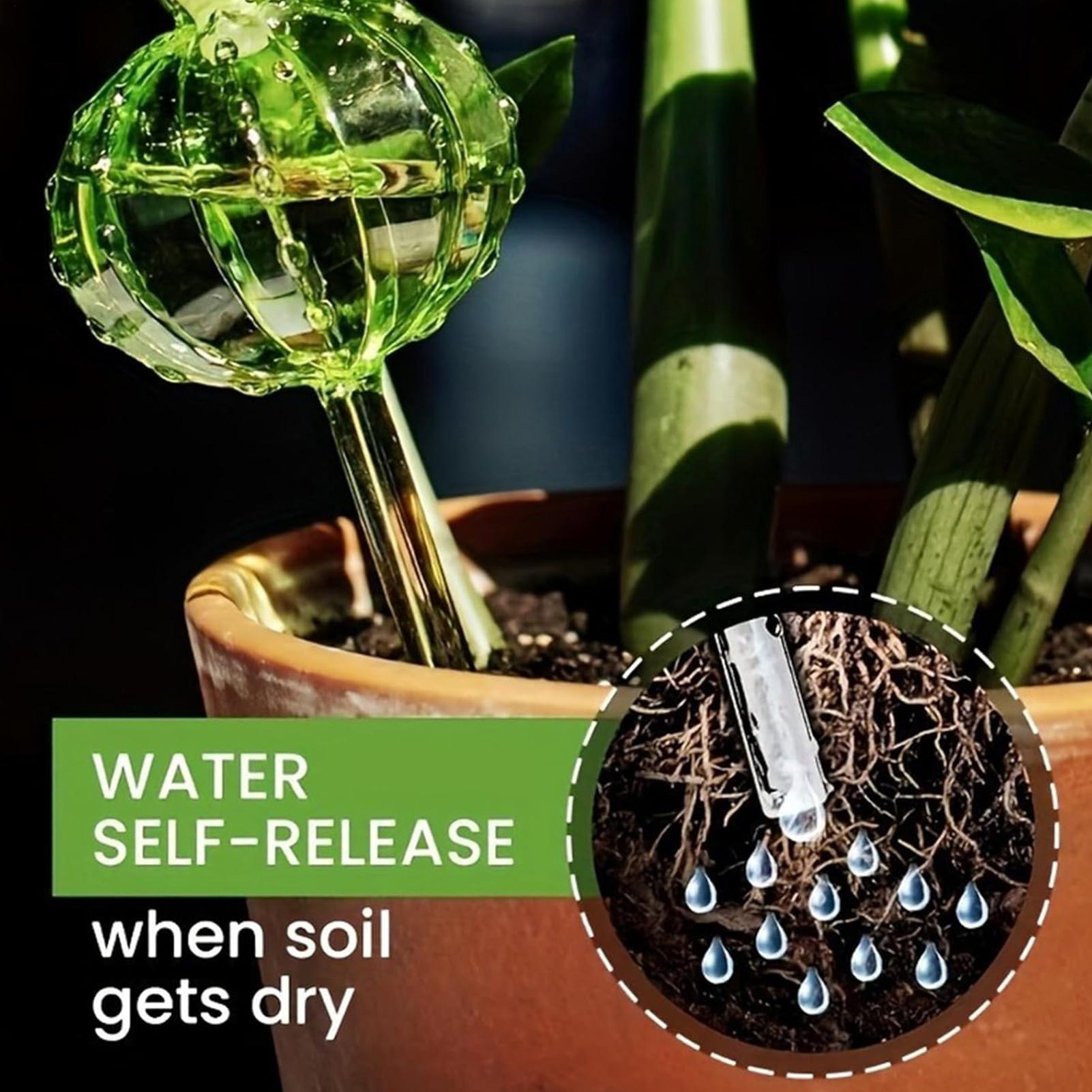 Plant Watering Stakes 3 Pieces - Self Watering Insert recension och pris