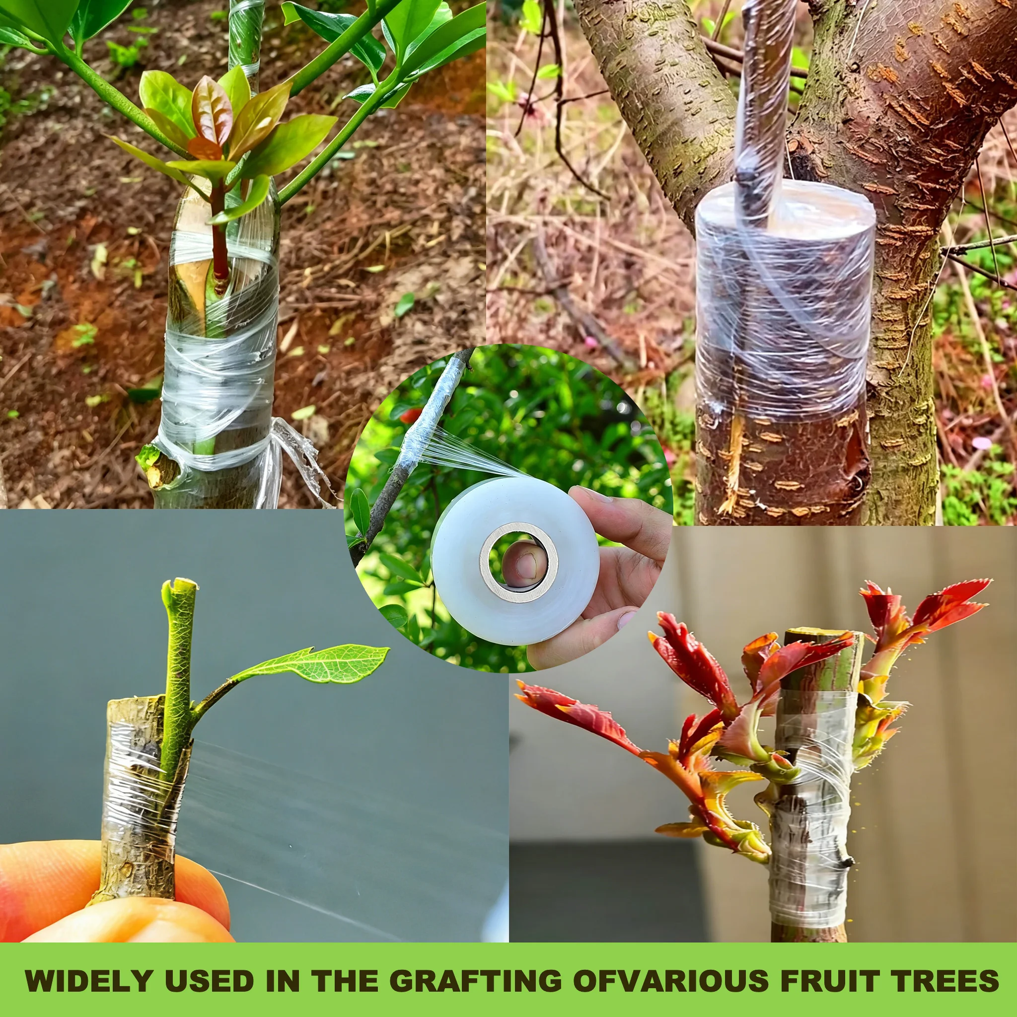 Self-adhesive PE Grafting Tape - Rooting Hormone Powder recension och pris
