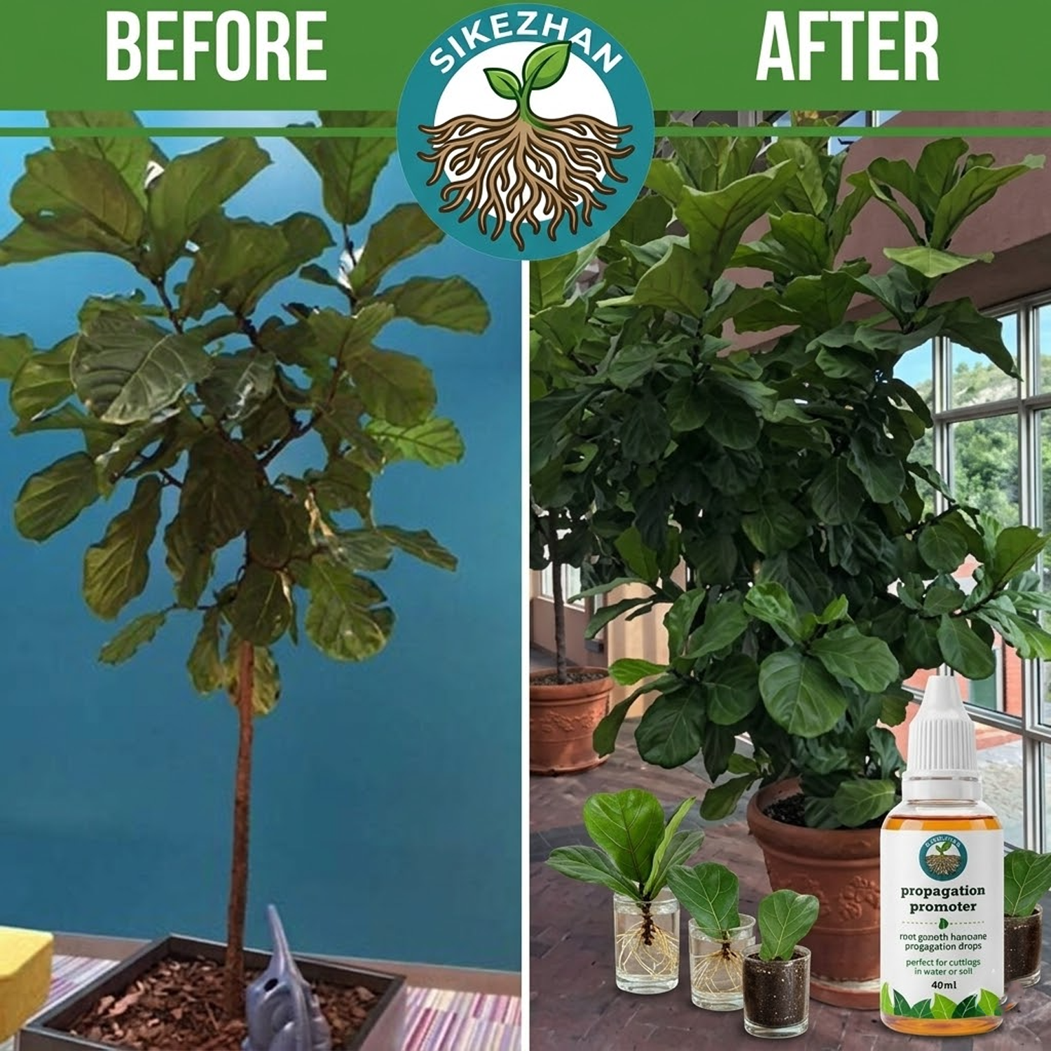 40ml Fast Plant Rooting Liquid - Root Stimulator Liquid recension och pris