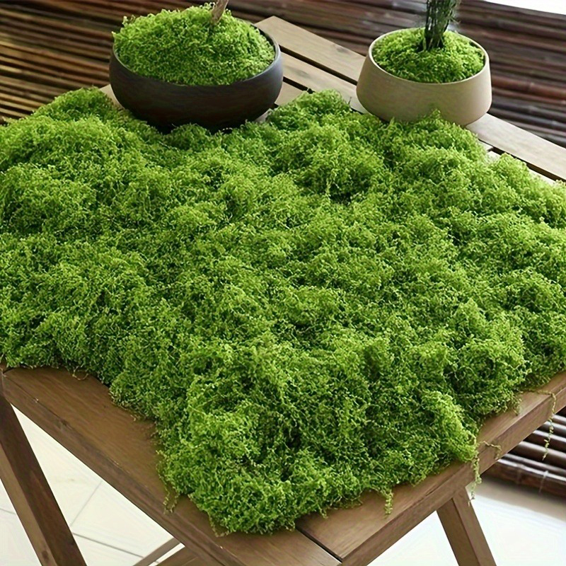 Green Fake Moss DIY Crafts Gra - Sphagnum Moss Dry recension och pris