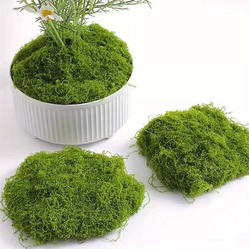 Green Fake Moss DIY Crafts Gra - Sphagnum Moss Dry recension och pris