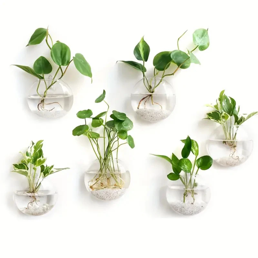 Wall Hanging Glass Plant Terra - Propagation Station Vase recension och pris