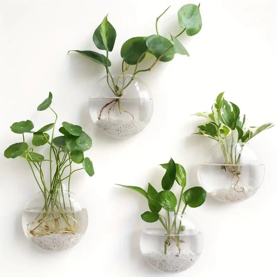 Wall Hanging Glass Plant Terra - Propagation Station Vase recension och pris