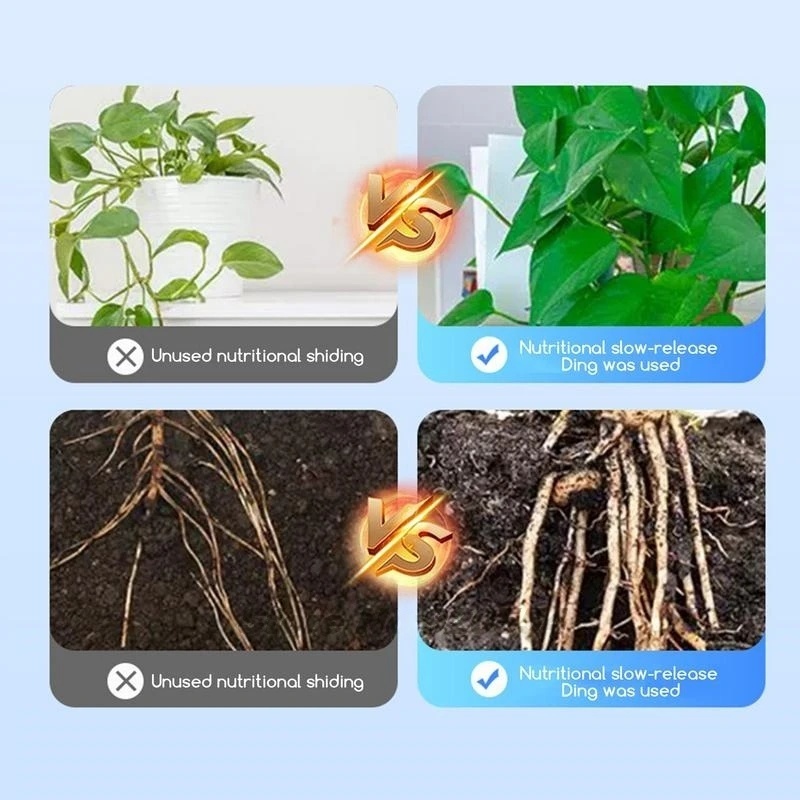 500g High-strength Rooting Hor - Rooting Hormone Powder recension och pris
