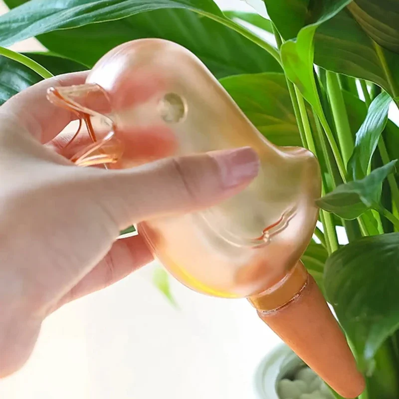 High quality automatic flower  - Self Watering Insert recension och pris
