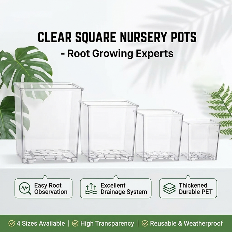 Clear Square Acrylic Plastic P - Sphagnum Moss Dry recension och pris
