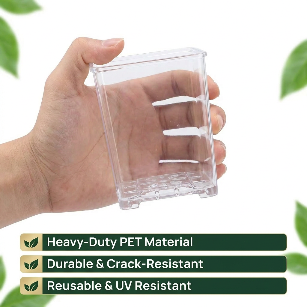 Clear Square Acrylic Plastic P - Sphagnum Moss Dry recension och pris