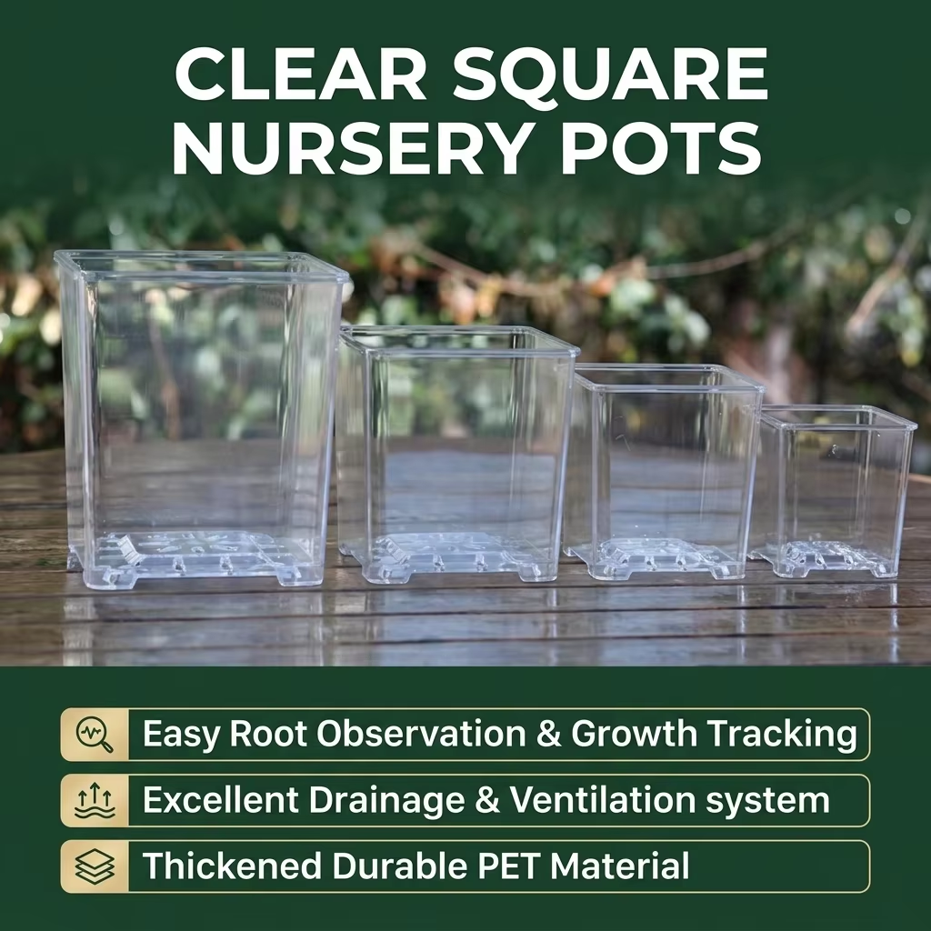 Clear Square Acrylic Plastic P - Sphagnum Moss Dry recension och pris