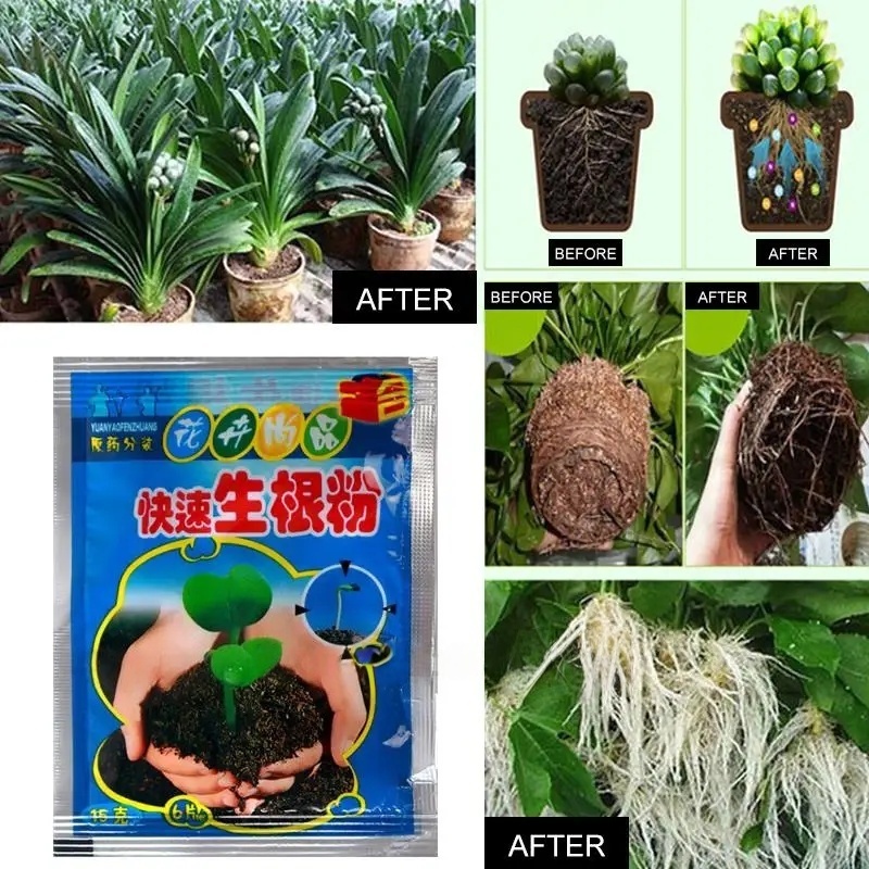 5pcs Fast Rooting Powder Plant - Rooting Hormone Powder recension och pris