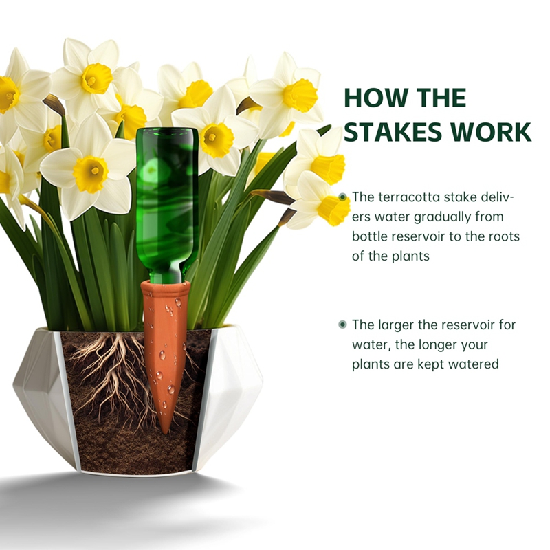 Terracotta Watering Spikes,Win - Self Watering Insert recension och pris