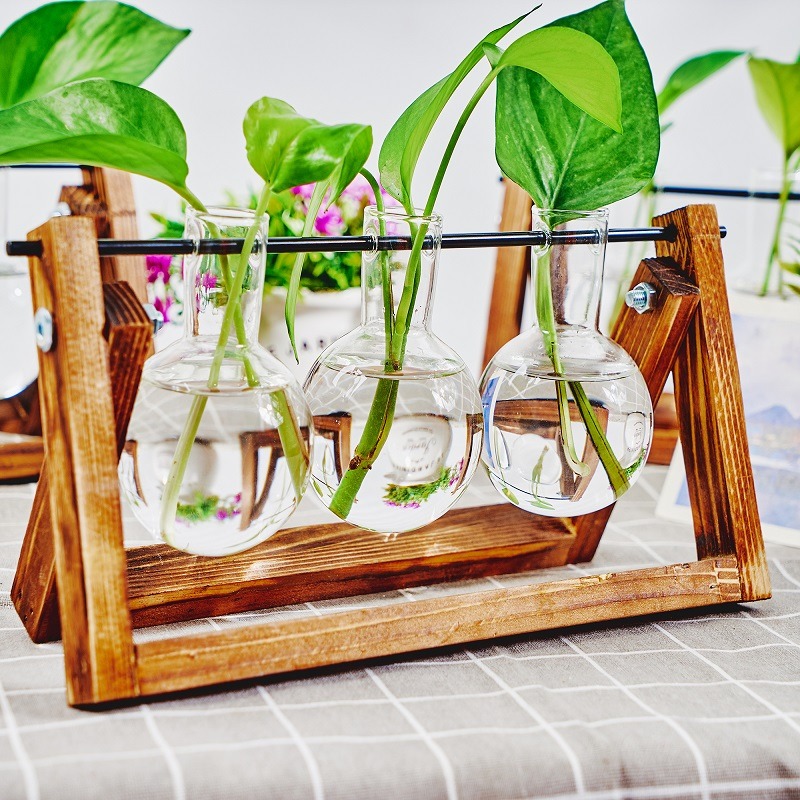 Tabletop Glass Planter Propaga - Propagation Station Vase recension och pris