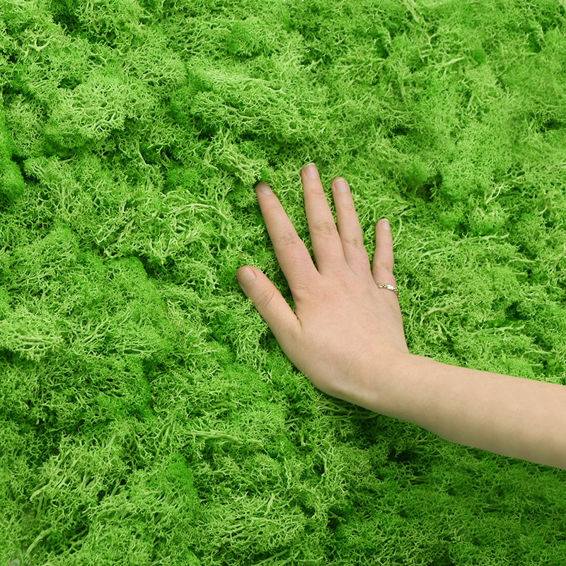 20G Natural Moss Artificial Pl - Sphagnum Moss Dry recension och pris